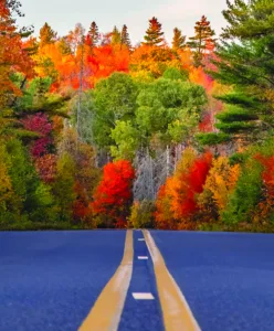 Autumn's splendor